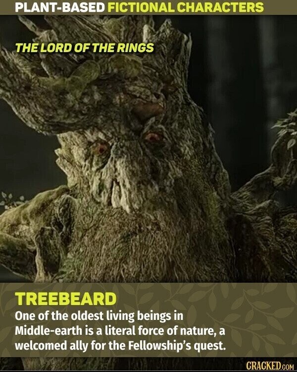 PLANT-BASED FICTIONAL CHARACTERS THE LORD OF THE RINGS TREEBEARD One of the oldest living beings in Middle-earth is a literal force of nature, a welcomed ally for the Fellowship's quest. CRACKED.COM