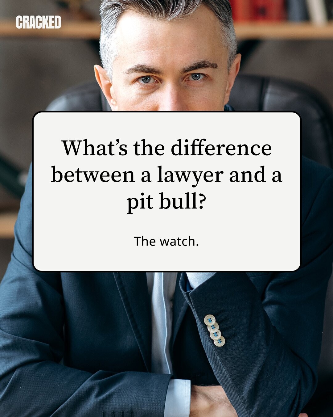 CRACKED What's the difference between a lawyer and a pit bull? The watch. 