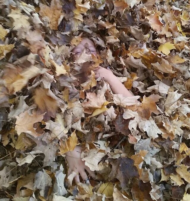 Photos That Look Totally Normal Until You Look Closer