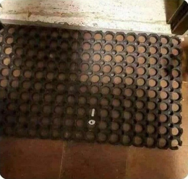 Photos Where You Just Have to Roll Your Eyes