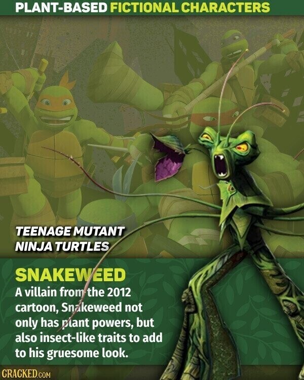 PLANT-BASED FICTIONAL CHARACTERS TEENAGE MUTANT NINJA TURTLES SNAKEWEED A villain from the 2012 cartoon, Snakeweed not only has plant powers, but also insect-like traits to add to his gruesome look. CRACKED.COM