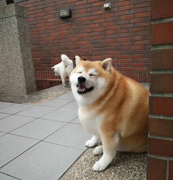 Photos That Fit Nicely In Your Mind’s Happy Place