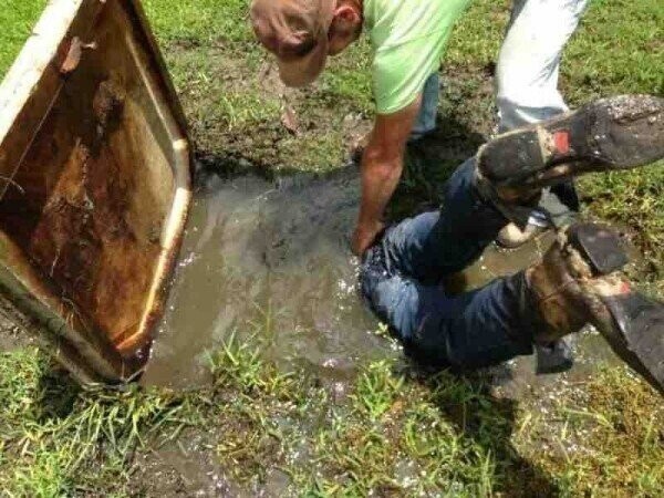 Photos from the Halls of the Smithsonian Of Stupidity