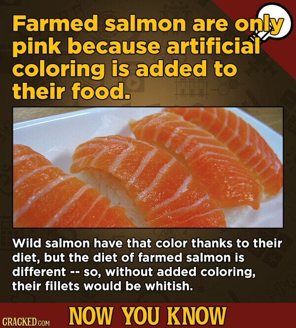 Farmed salmon are only pink because artificial coloring is added to their food. Wild salmon have that color thanks to their diet, but the diet of farmed salmon is different - so, without added coloring, their fillets would be whitish. NOW YOU KNOW CRACKED.COM