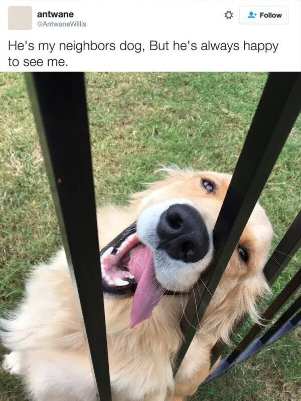 Photos That Fit Nicely In Your Mind’s Happy Place