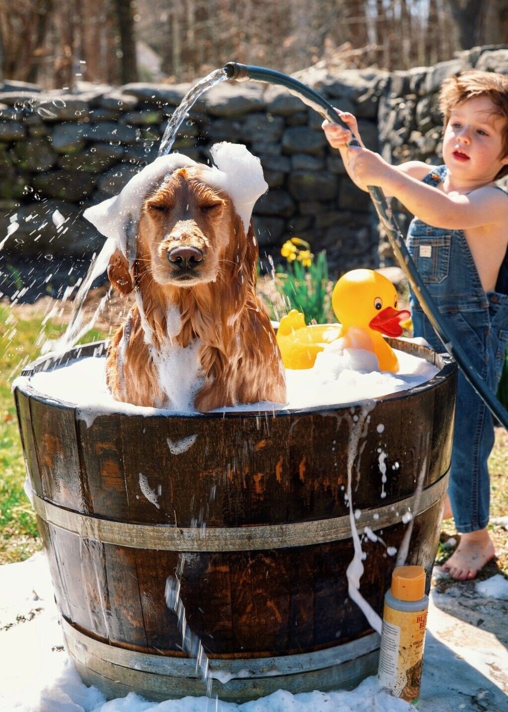 Photos That Were a Bad Idea from the Beginning