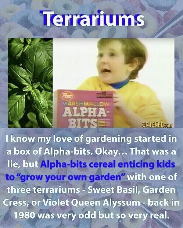Terrariums Past MARSHMALLOW ALPHA- BITS Date CRACKED.COM I know my love of gardening started in a box of Alpha-bits. Okay... That was a lie, but Alpha-bits cereal enticing kids to grow your own garden with one of three terrariums-Sweet Basil, Garden Cress, or Violet Queen Alyssum-back in 1980 was very odd but so very real.