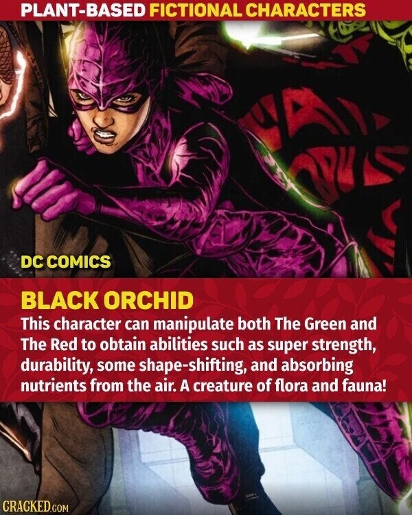 PLANT-BASED FICTIONAL CHARACTERS DC COMICS BLACK ORCHID This character can manipulate both The Green and The Red to obtain abilities such as super strength, durability, some shape-shifting, and absorbing nutrients from the air. A creature of flora and fauna! CRACKED.COM