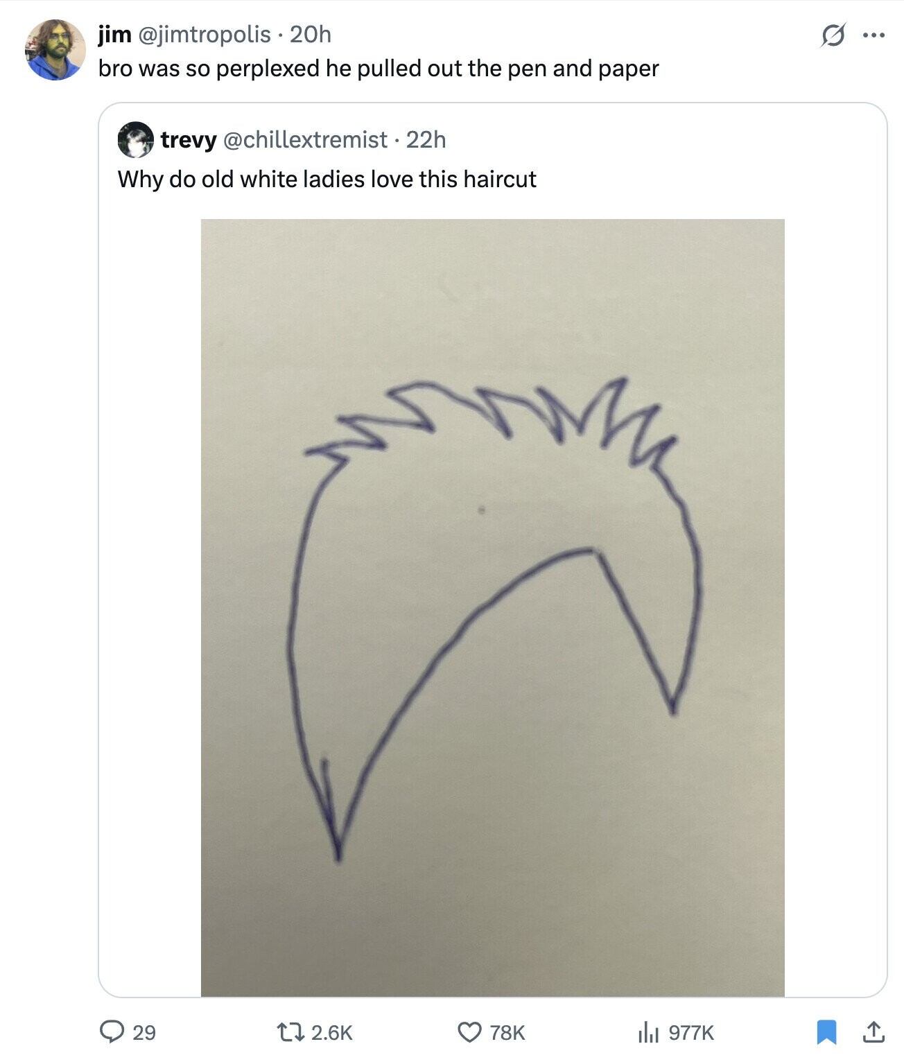 jim @jimtropolis.20h s ... bro was so perplexed he pulled out the pen and paper trevy @chillextremist . 22h Why do old white ladies love this haircut 2.6K 29 78K 977K