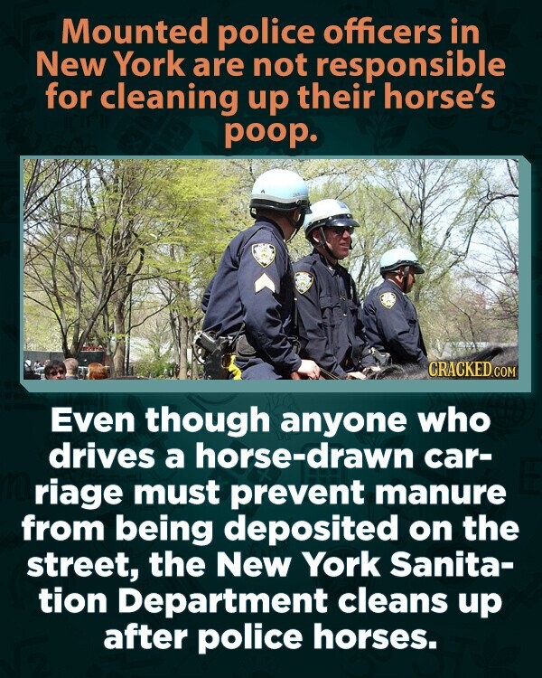 Mounted police officers in New York are not responsible for cleaning up their horse's poop. CRACKED.COM Even though anyone who drives a horse-drawn car- riage must prevent manure from being deposited on the street, the New York Sanita- tion Department cleans up after police horses.