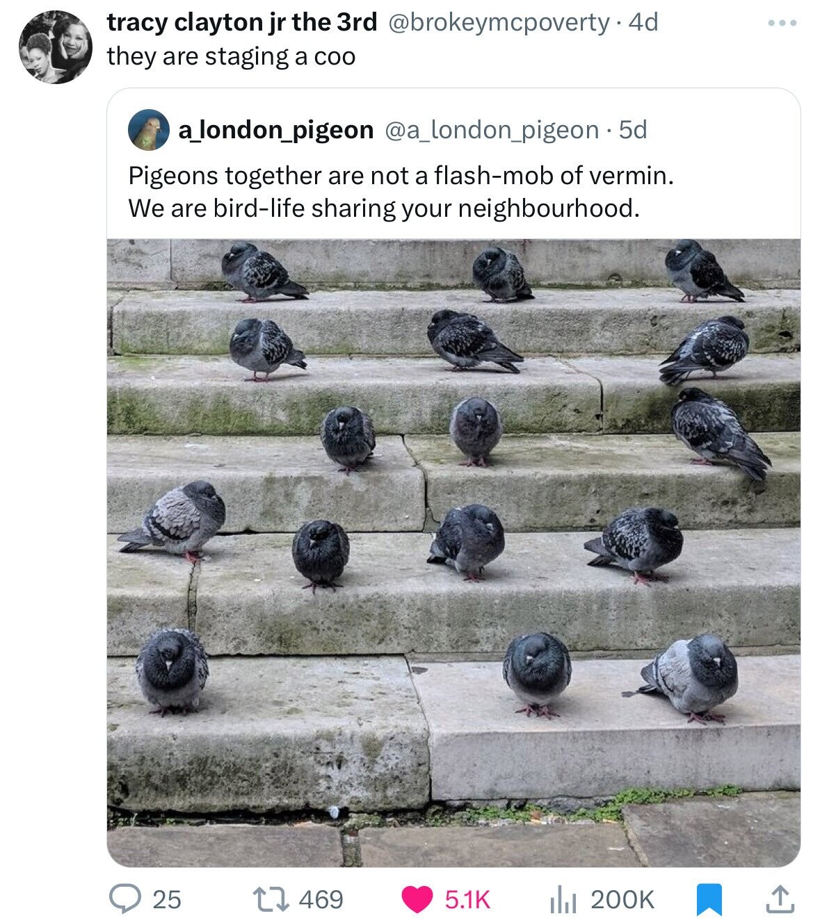 tracy clayton jr the 3rd @brokeymcpoverty.4d they are staging a coo a_london_pigeon @a_london_pigeon . 5 5d Pigeons together are not a flash-mob of vermin. We are bird-life sharing your neighbourhood. 25 469 5.1K 200K
