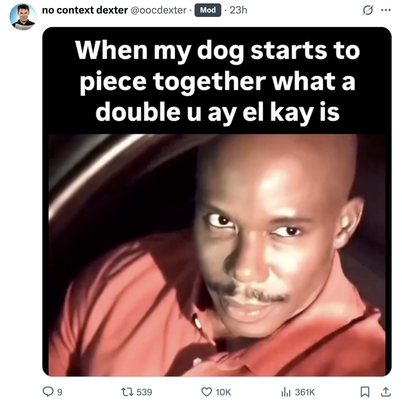 no context dexter @oocdexter Mod 23h S ... When my dog starts to piece together what a double u ay el kay is 9 539 10K 361K