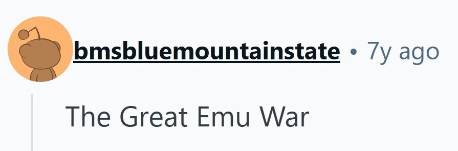 bmsbluemountainstate . 7y ago The Great Emu War
