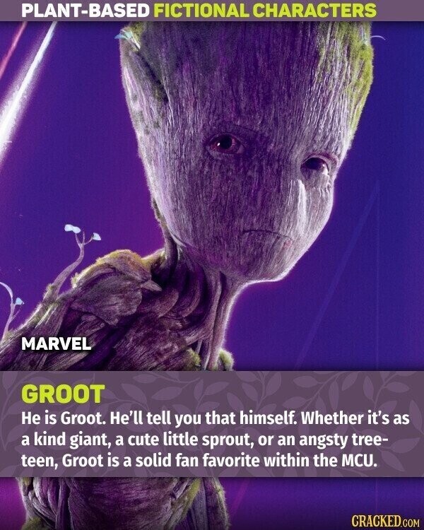 PLANT-BASED FICTIONAL CHARACTERS MARVEL GROOT Не is Groot. He'll tell you that himself. Whether it's as a kind giant, a cute little sprout, or an angsty tree- teen, Groot is a solid fan favorite within the MCU. CRACKED.COM