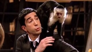 31 Bits of TV Trivia That Jumped the Shark Before They Even Learned to Walk