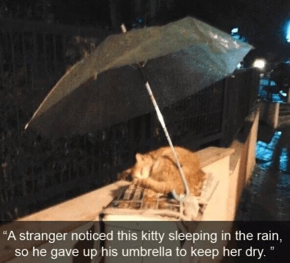 Photos That Fit Nicely In Your Mind’s Happy Place