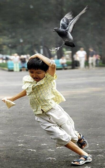 Photos That Were a Bad Idea from the Beginning