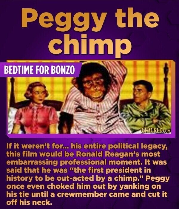 Peggy the chimp BEDTIME FOR BONZO GRACKED.COM If it weren't for... his entire political legacy, this film would be Ronald Reagan's most embarrassing professional moment. It was said that he was the first president in history to be out-acted by a chimp. Peggy once even choked him out by yanking on his tie until a crewmember came and cut it off his neck.