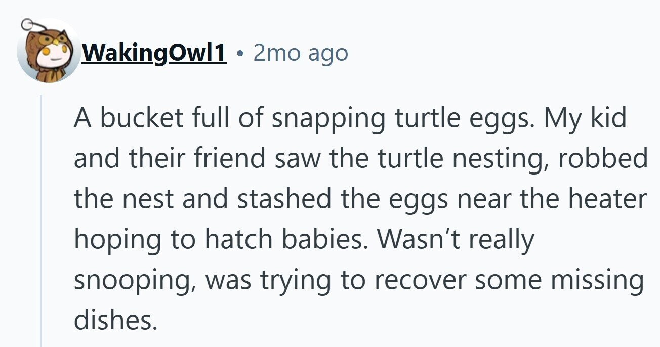 WakingOwl1 2mo ago A bucket full of snapping turtle eggs. My kid and their friend saw the turtle nesting, robbed the nest and stashed the eggs near the heater hoping to hatch babies. Wasn't really snooping, was trying to recover some missing dishes.