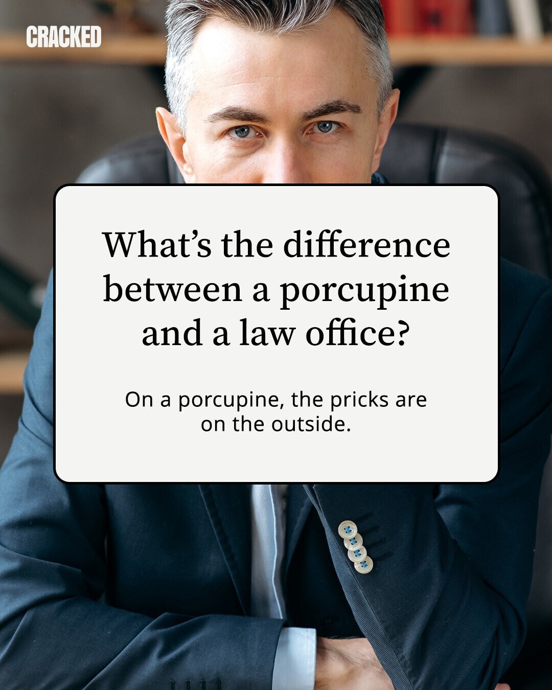 CRACKED What's the difference between a porcupine and a law office? On a porcupine, the pricks are on the outside. 