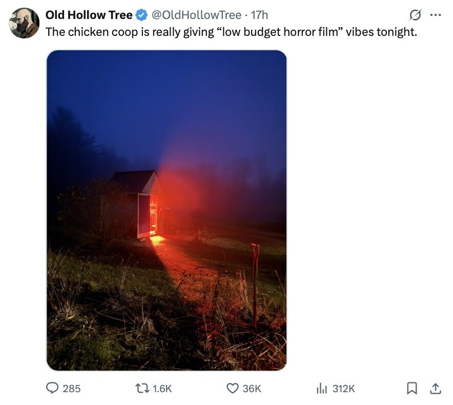 Old Hollow Tree @OldHollowTree. 17h O ... The chicken coop is really giving low budget horror film vibes tonight. 285 1.6K 36K 312K 