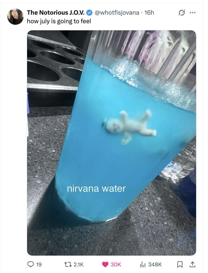 The Notorious J.O.V. @whotfisjovana.16h s ... how july is going to feel nirvana water 19 2.1K 30K 348K