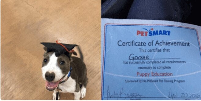 Photos That Fit Nicely In Your Mind’s Happy Place