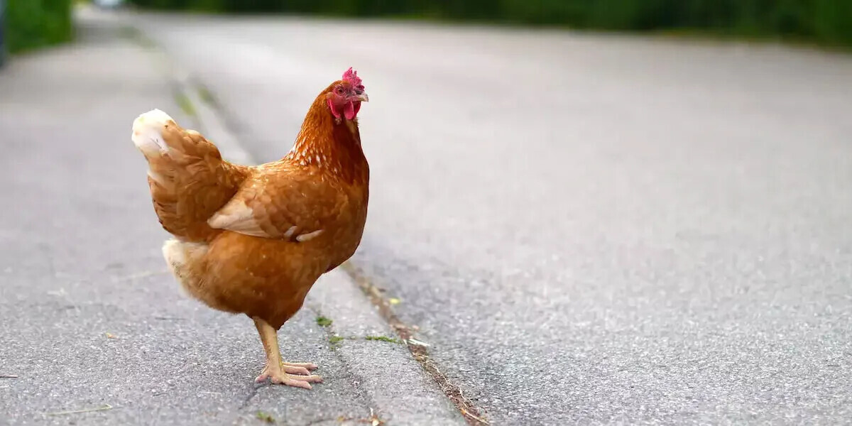 Laws That Will Send You to Prison for Minor Reasons