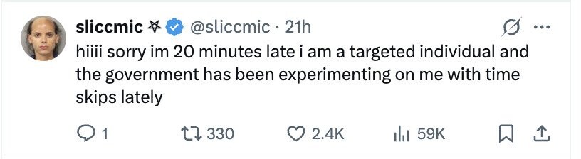 sliccmic @sliccmic . : 21h ... hiiii sorry im 20 minutes late i am a targeted individual and the government has been experimenting on me with time skips lately 1 330 2.4K 59K