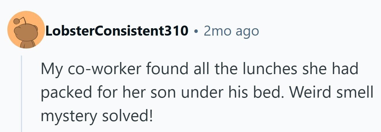 LobsterConsistent310 . 2mo ago My co-worker found all the lunches she had packed for her son under his bed. Weird smell mystery solved!