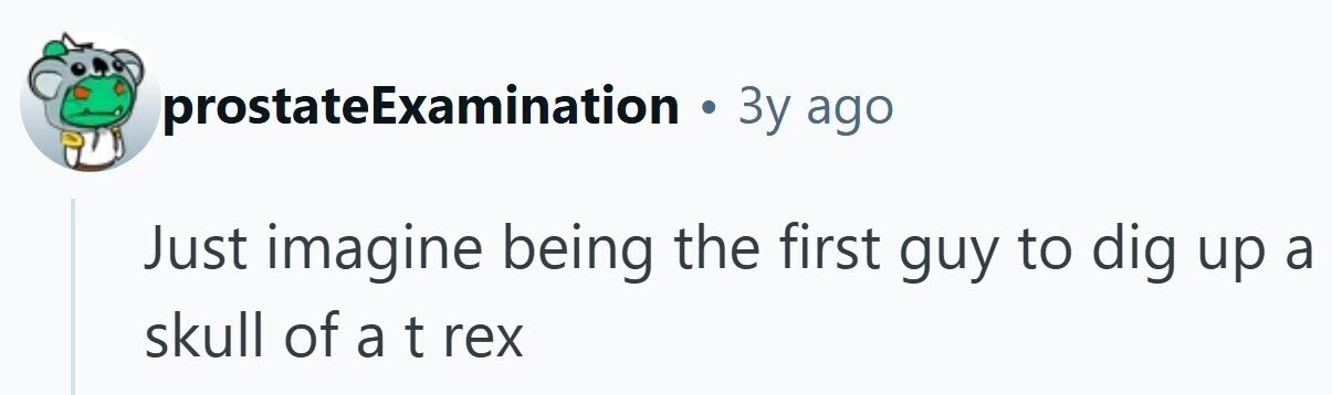 prostateExamination . Зу ago Just imagine being the first guy to dig up a skull of a t rex