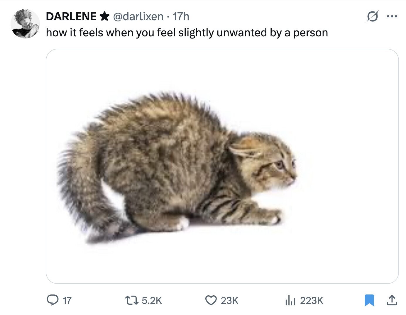 DARLENE @darlixen 17h S ... how it feels when you feel slightly unwanted by a person 17 5.2K 23K del 223K