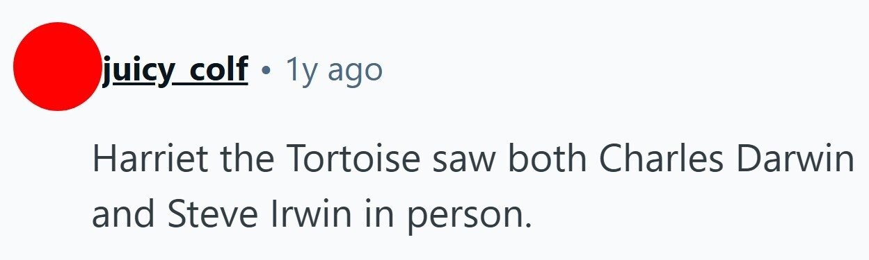 juicy colf . 1y ago Harriet the Tortoise saw both Charles Darwin and Steve Irwin in person. 