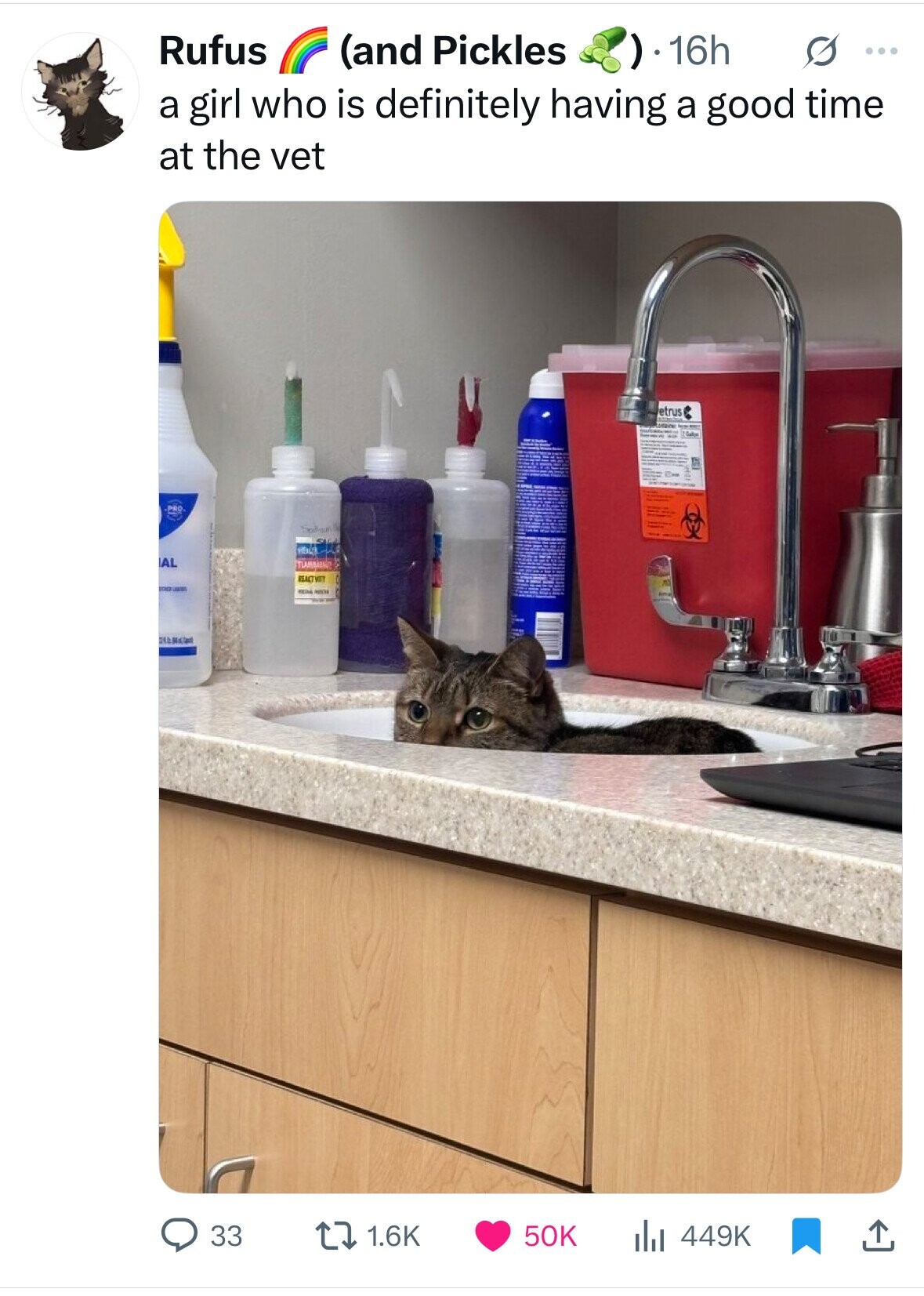 Rufus ) 1.16h (and Pickles s ... a girl who is definitely having a good time at the vet etrus TOM indian HBA AL REACT VITT FOR - - - 33 1.6K 50K 449K 