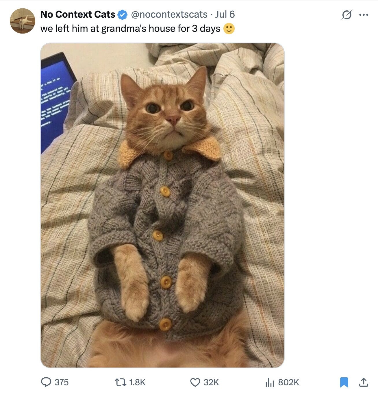 No Context Cats O ... @nocontextscats __ Jul 6 we left him at grandma's house for 3 days f A of metto I lactoon - - J - I 375 32K 1.8K 802K