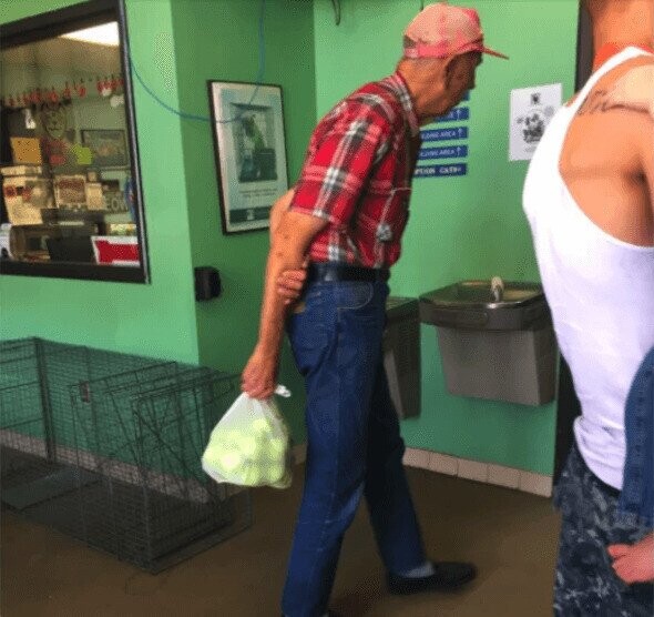 Photos That Fit Nicely In Your Mind’s Happy Place