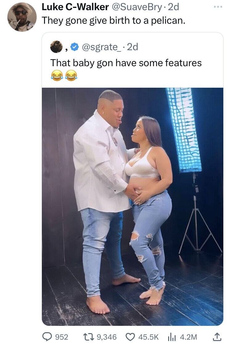 Luke C-Walker @SuaveBry 2d They gone give birth to a pelican. , @sgrate_.2d That baby gon have some features 952 9,346 45.5K 4.2M