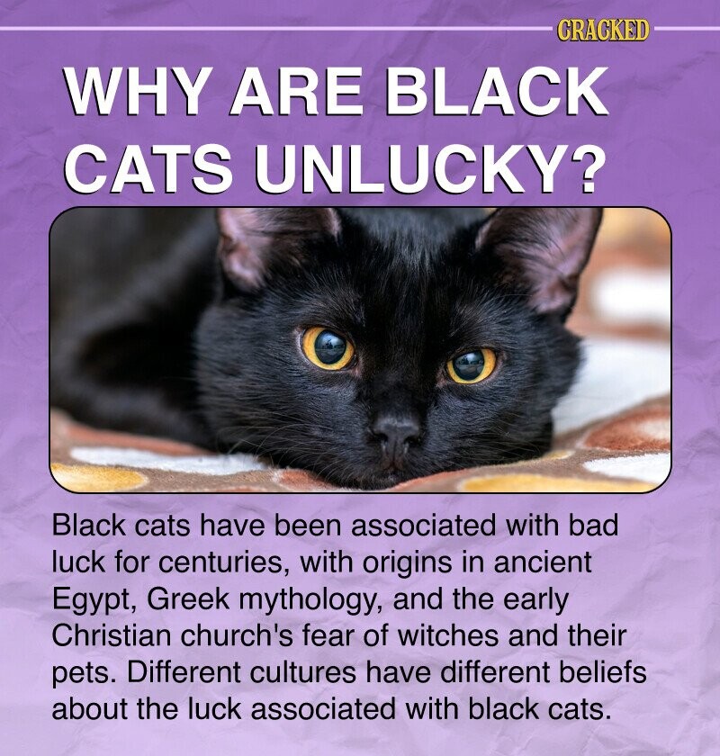 CRACKED WHY ARE BLACK CATS UNLUCKY? Black cats have been associated with bad luck for centuries, with origins in ancient Egypt, Greek mythology, and the early Christian church's fear of witches and their pets. Different cultures have different beliefs about the luck associated with black cats.