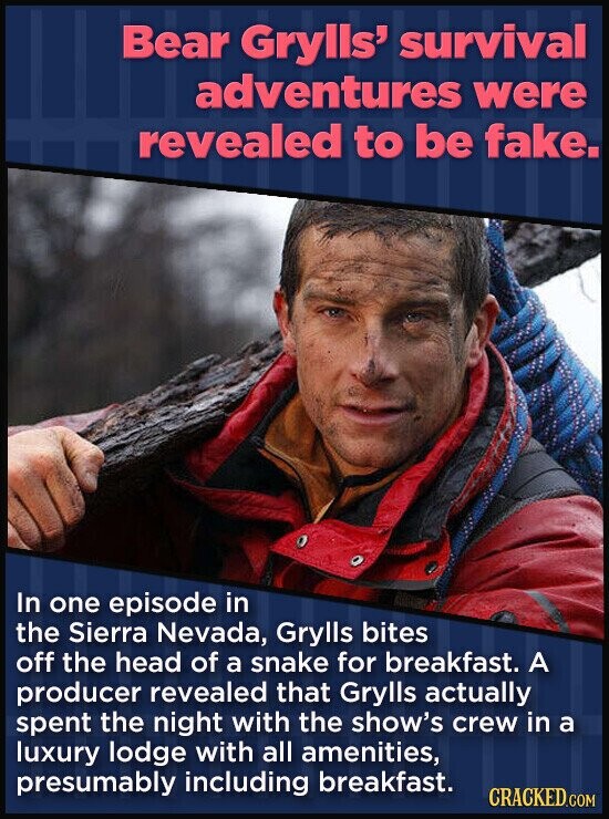Bear Grylls' survival adventures were revealed to be fake. In one episode in the Sierra Nevada, Grylls bites off the head of a snake for breakfast. A producer revealed that Grylls actually spent the night with the show's crew in a luxury lodge with all amenities, presumably including breakfast. CRACKED.COM