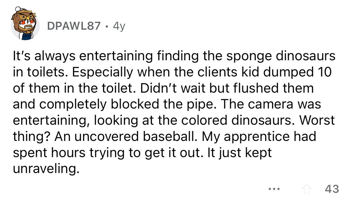 DPAWL87 . 4y It's always entertaining finding the sponge dinosaurs in toilets. Especially when the clients kid dumped 10 of them in the toilet. Didn't wait but flushed them and completely blocked the pipe. The camera was entertaining, looking at the colored dinosaurs. Worst thing? An uncovered baseball. My apprentice had spent hours trying to get it out. It just kept unraveling. ... 43