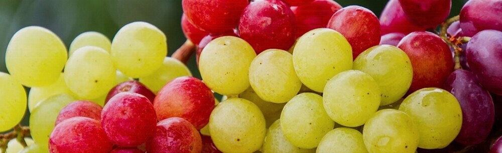 Raisins Vs. Grapes