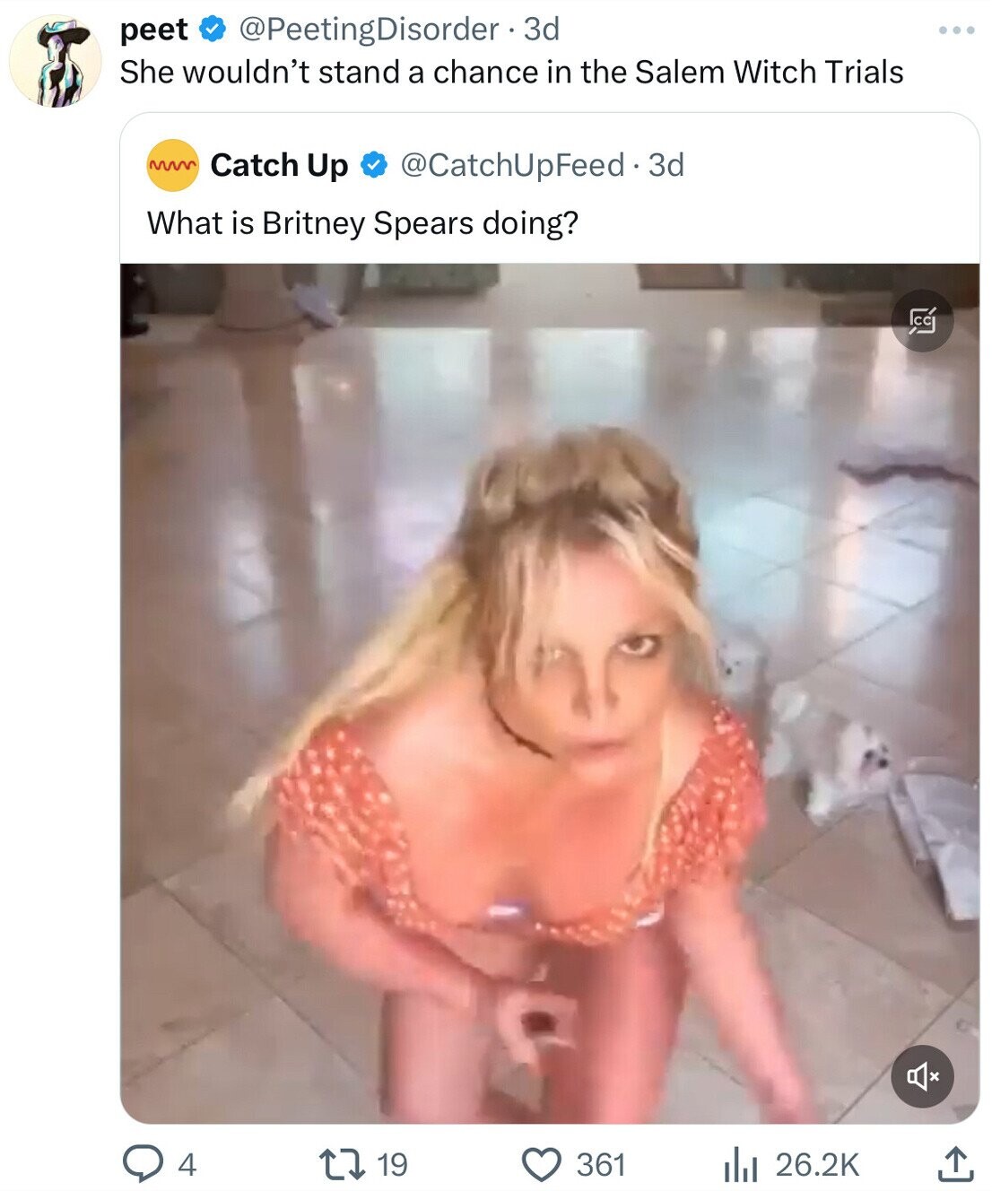 peet @PeetingDisorder 3d She wouldn't stand a chance in the Salem Witch Trials Catch Up @CatchUpFeed.3d What is Britney Spears doing? Cá . 4 19 361 26.2K