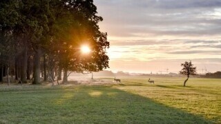 Unique Photos Bringing Life to Your Boring Feed