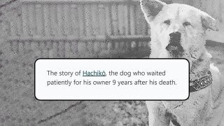 30 History Facts That Make People Tear Up