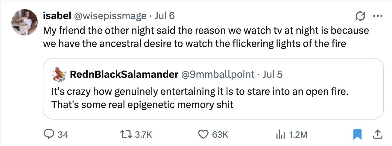 isabel @wisepissmage Jul 6 ... My friend the other night said the reason we watch tv at night is because we have the ancestral desire to watch the flickering lights of the fire RednBlackSalamander @9mmballpointJ Jul 5 It's crazy how genuinely entertaining it is to stare into an open fire. That's some real epigenetic memory shit 34 3.7K 63K 1.2M