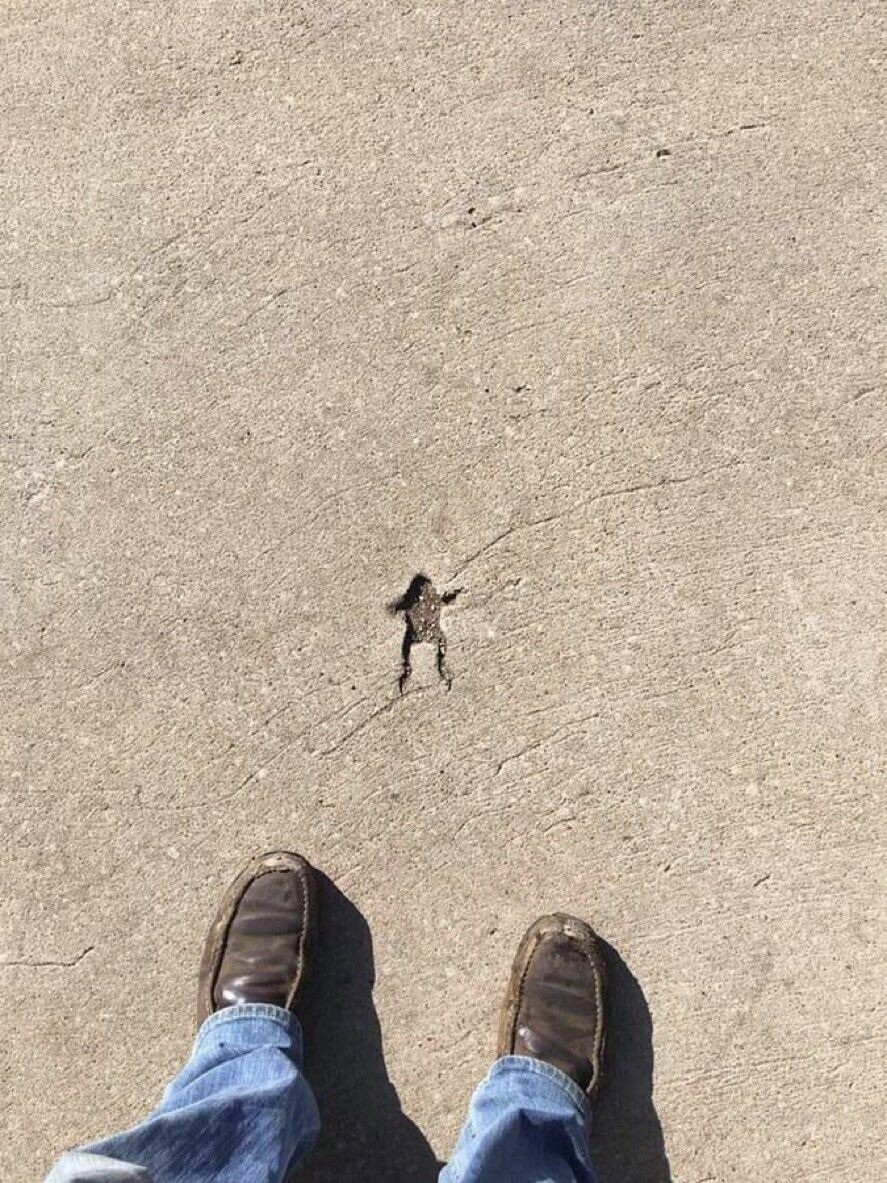 Photos That Show Exactly What Bad Judgement Looks Like