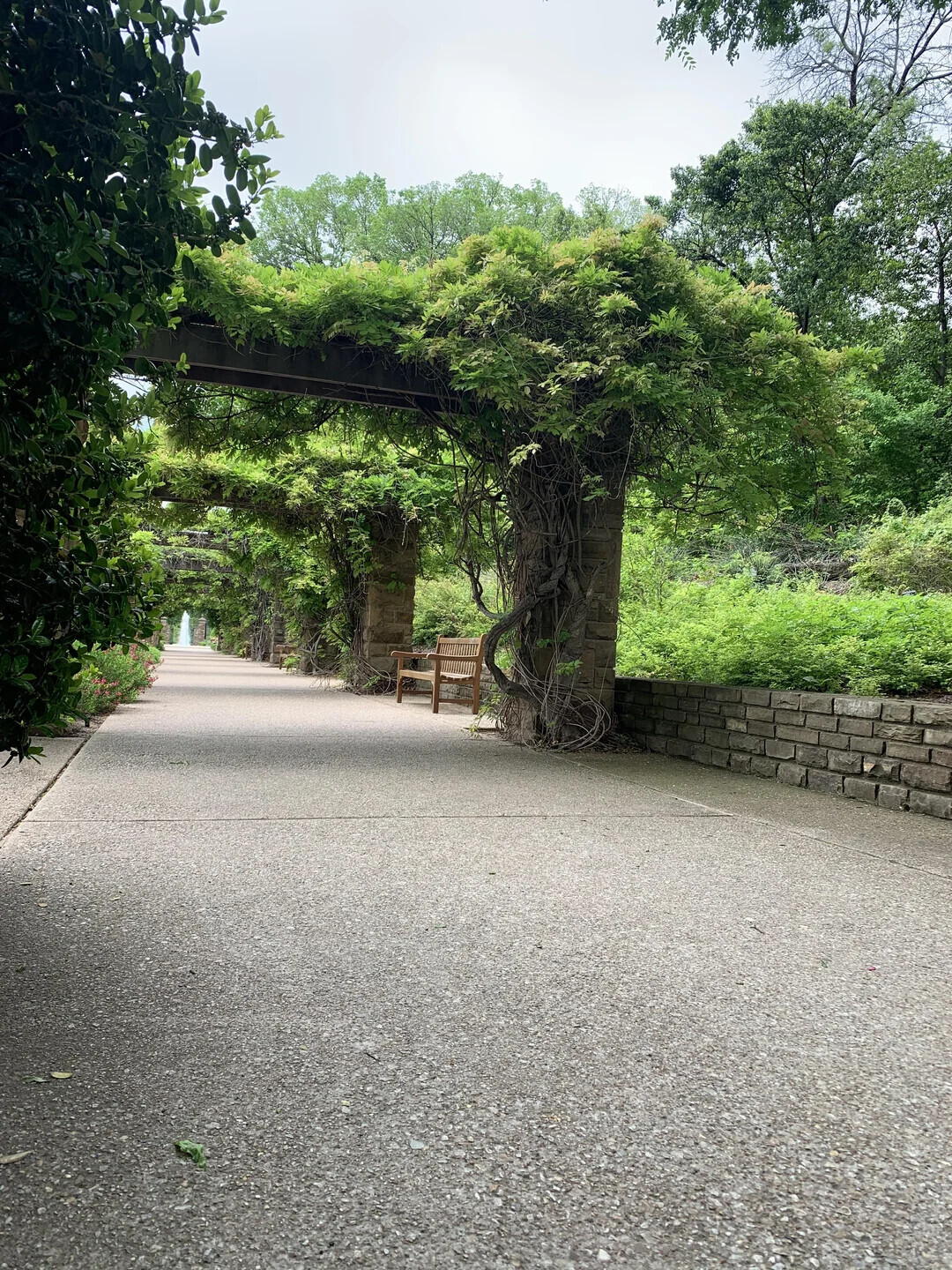 Unique Photos Bringing Life to Your Boring Feed