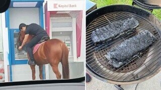 Photos Where Intervention Was Desperately Needed