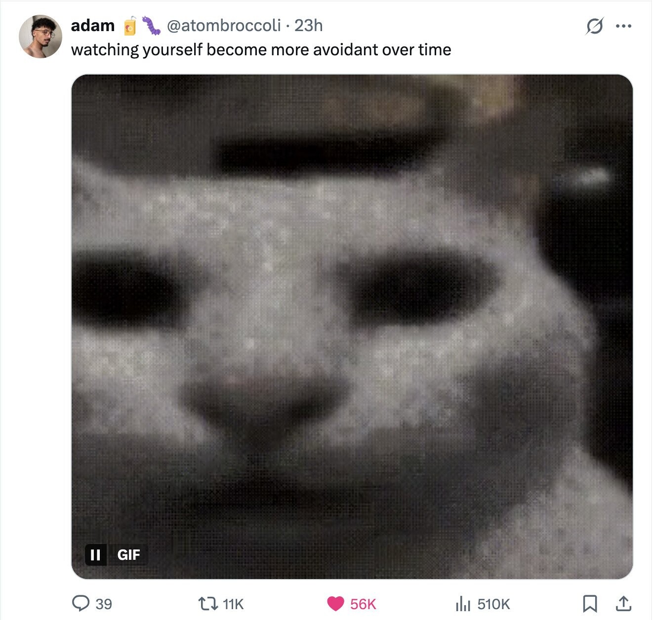 adam @atombroccoli 23h S ... watching yourself become more avoidant over time II GIF 11K 56K 39 510K