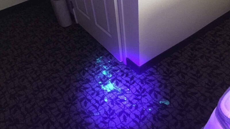 20 Trash Hotels to Keep You Sleeping in Your Car